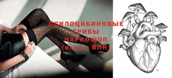 2c-b Вяземский